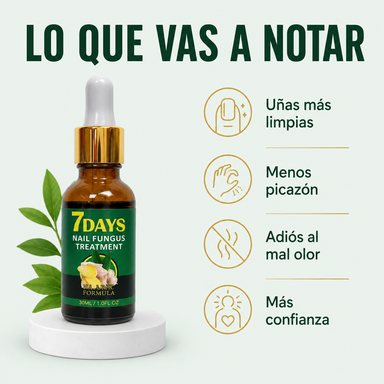 Tratamiento Natural Anti Hongos